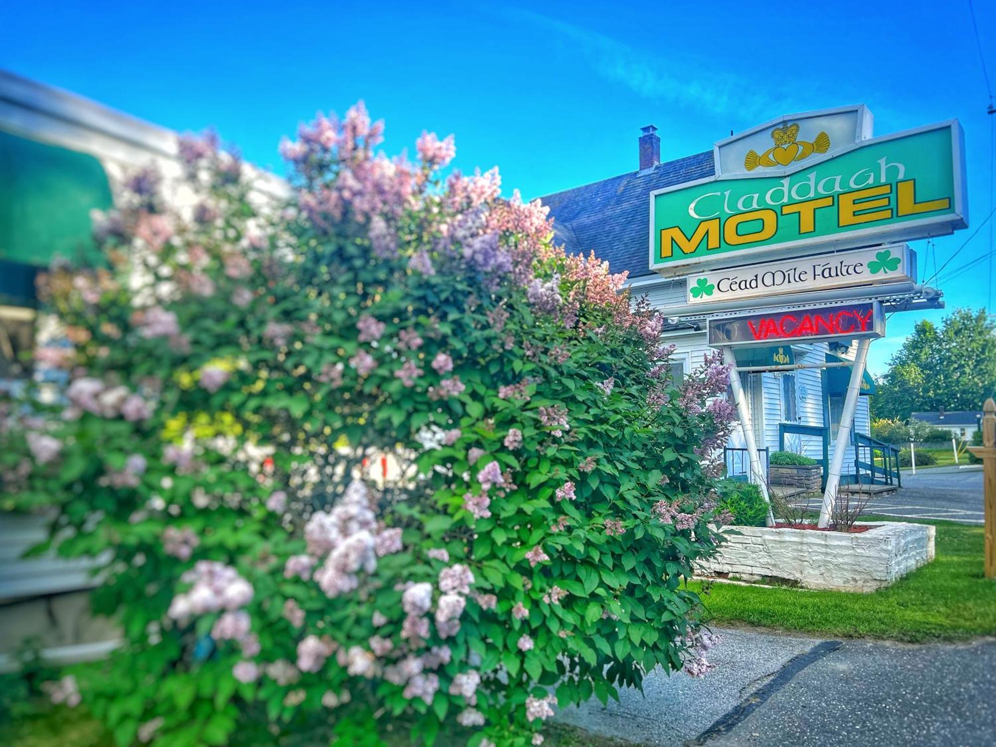 Claddagh Motel & Suites Rockport Zewnętrze zdjęcie